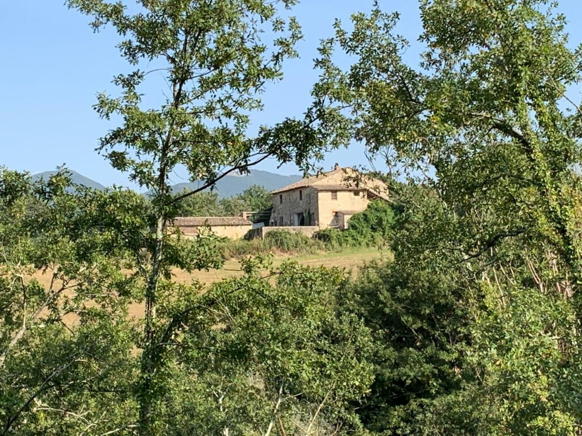 Casale Al Lago Con Piscina E Sauna Corbara  Eksteriør billede