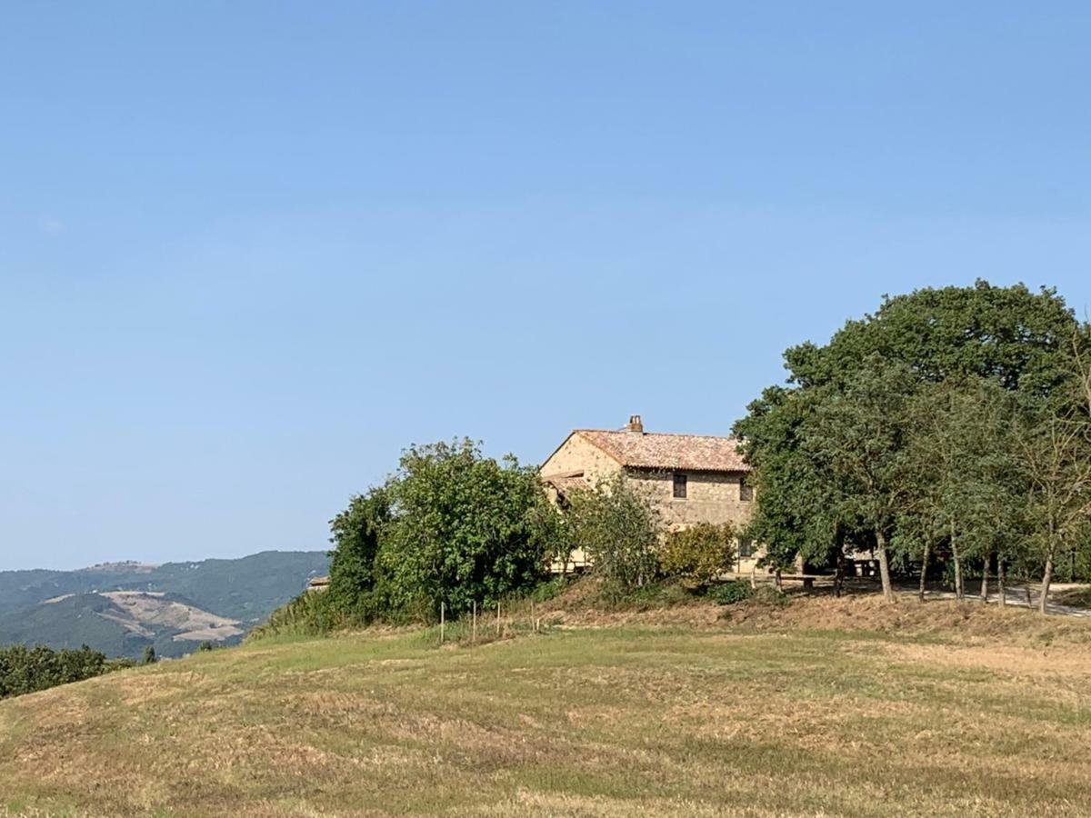 Casale Al Lago Con Piscina E Sauna Corbara  Eksteriør billede
