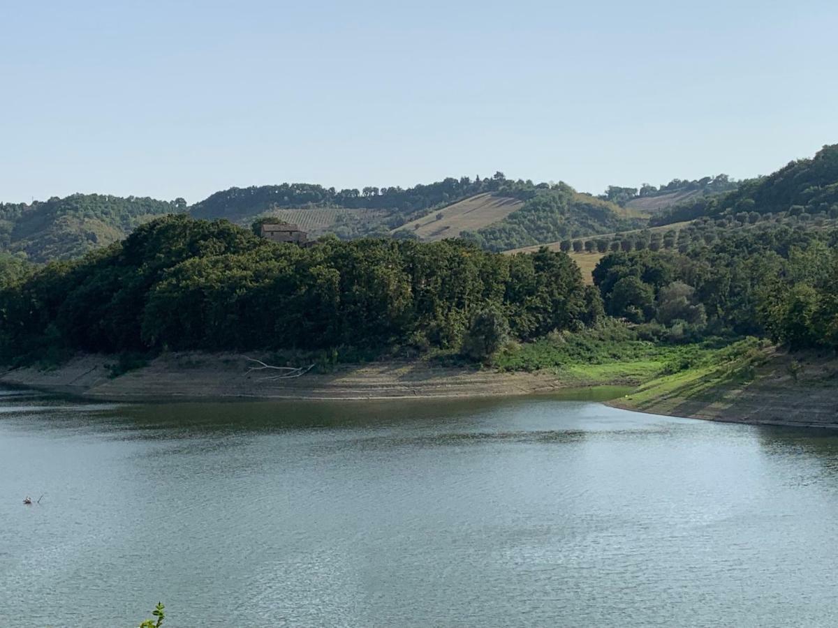 Casale Al Lago Con Piscina E Sauna Corbara  Eksteriør billede